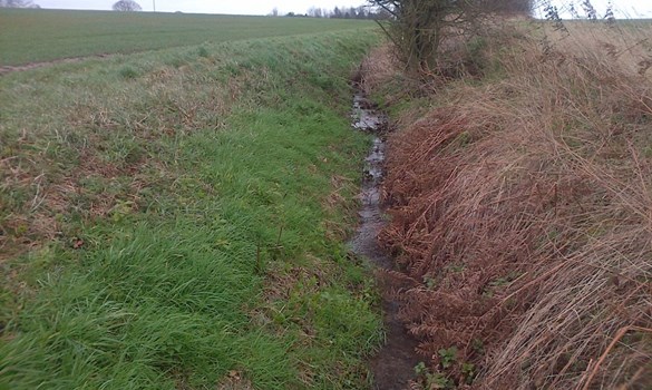 ditch and drainage work